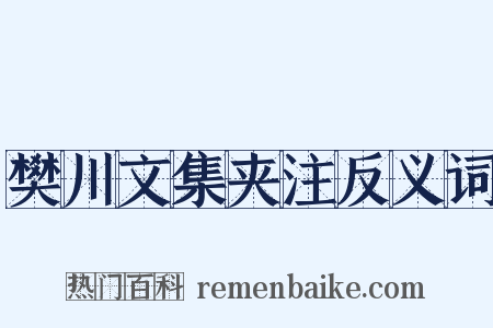 樊川文集夹注反义词是什么意思的图片